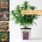 Preview: Grow Bucket Super Soil organic